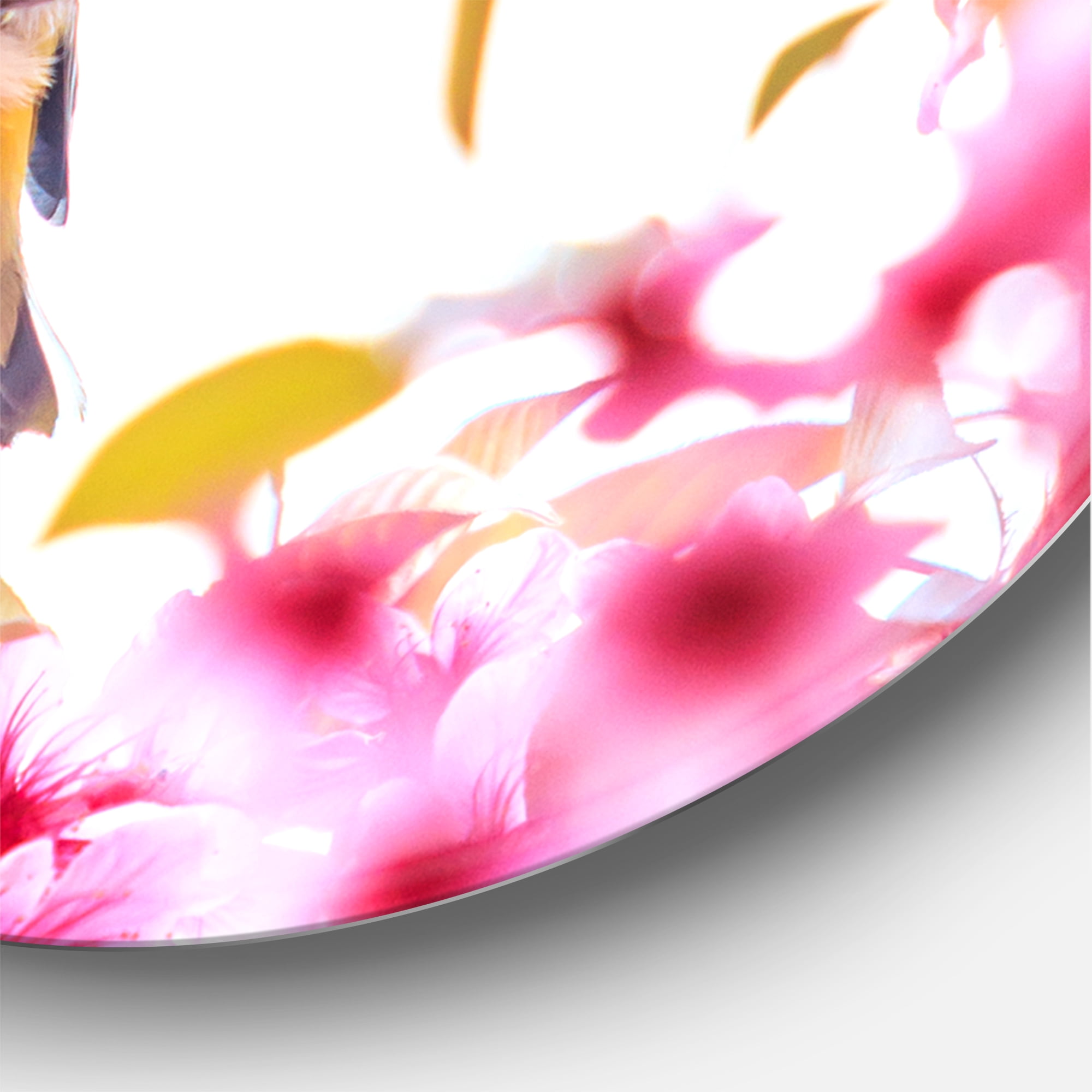 Designart 'Bird Sitting On Cherry Blossom' Traditional Circle Metal Wall Art 29x29 - Disc of 29
