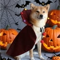 thumbnail image 2 of Halloween Pet Costume Witch Cape for Dogs Cats Halloween Party Outfit Cute Pet Apparel, 2 of 10