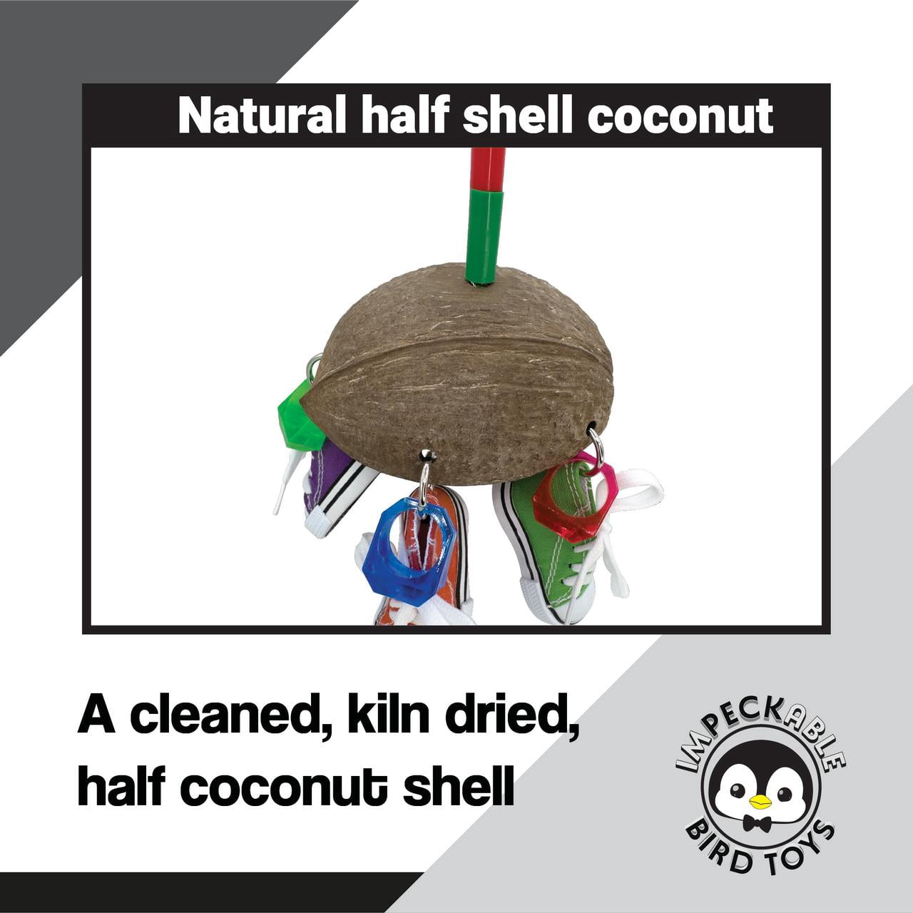 1504 Coconut Ringy Sneaker Bird Toy with Coconut Shell Mini Sneakers Acrylic Rings – Handcrafted by Impeckable Bird Toys – For Medium Birds Chewing Tugging Enrichment Fun