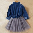 thumbnail image 4 of Enfants Bébé Filles Denim Robe Enfant en Bas Âge Tulle Bouton Robes Automne Hiver Robe de Mode Décontractée pour 2-8 Ans, 4 of 6