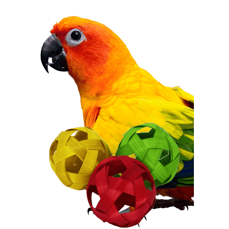 1238 3 Pack Colored Natural Bamboo Balls 2 Inches