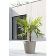 thumbnail image 4 of Ecopots Amsterdam Durable Modern Round Indoor/Outdoor Recycled Based Composite Flower Pot Planter, Taupe, 16", 4 of 4