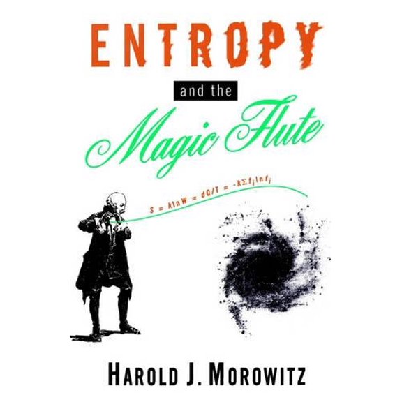 Pre-Owned Entropy and the Magic Flute (Hardcover) 0195081994 9780195081992