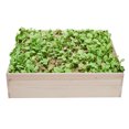 thumbnail image 4 of Naomi Home Iris Garden Bed Large Garden Box Wooden Raised Garden Beds Outdoor for Vegetables Square 4 ft x 4 ft Large Raised Planter Boxes for Gardening Herbs Flowers in Backyard 48" x 48", 4 of 10