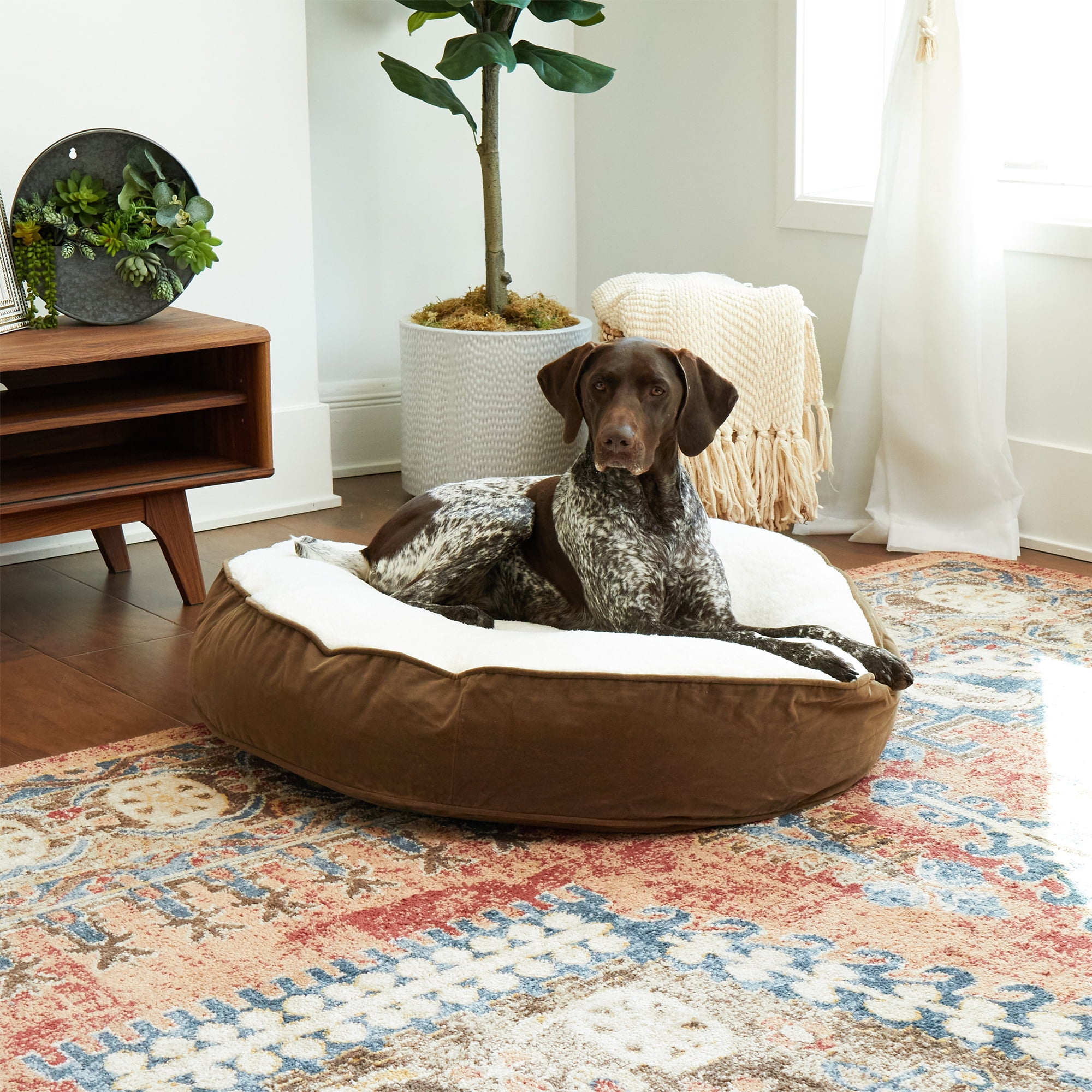 Happy Hounds Scout Deluxe Round Dog Bed, Medium, 36", Latte/Sherpa
