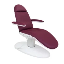 SKINACT Venus Electric Medical Spa Treatment Chair/Table (Wine)