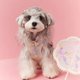 thumbnail image 5 of Ropa Para Perro Mascota Otoño, 5 of 8
