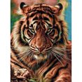 thumbnail image 1 of Pintura Diamante (DE4652) 5D DIY Cuadrado Tigre Animal Punto de Cruz (B896) 20X30cm FLhrweasw Nuevo, 1 of 1