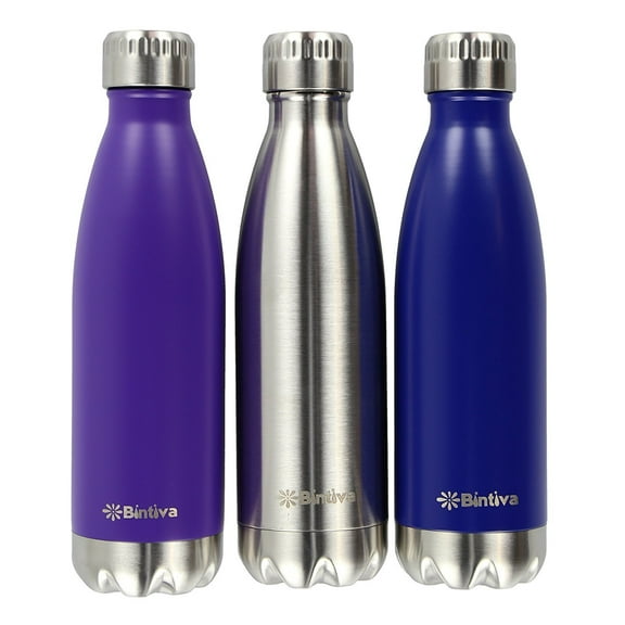 Bintiva Sports Stainless Steel Water Bottle, Double-Walled Vacuum-Insulated