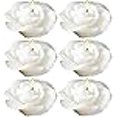 thumbnail image 2 of Biedermann &amp; Sons C7808NWT New Rose Floating Candle - White, 2 of 3