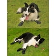 thumbnail image 5 of Protective Boots, 4 Pieces Dog Shoes Non-Slip Soft Sole For Small To Medium Dogs (6#), 5 of 5