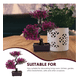 thumbnail image 2 of Plantas Artificiales De Bonsái Del Hogar Y La Oficina Xtellar morado, 2 of 3