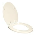 Exquisite Elongated Wood Toilet Seat, White