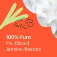 thumbnail image 5 of Plant Therapy Jasmine Sambac Absolute Pre-Diluted Essential Oil Roll-On 10 mL (1/3 oz) 100% Pure, Natural Aromatherpay, Therapeutic Grade, 5 of 8