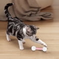 thumbnail image 3 of Interactive Cat Toy Set with Soft Teething Chew Sticks for Indoor and Exercise, 3 of 3