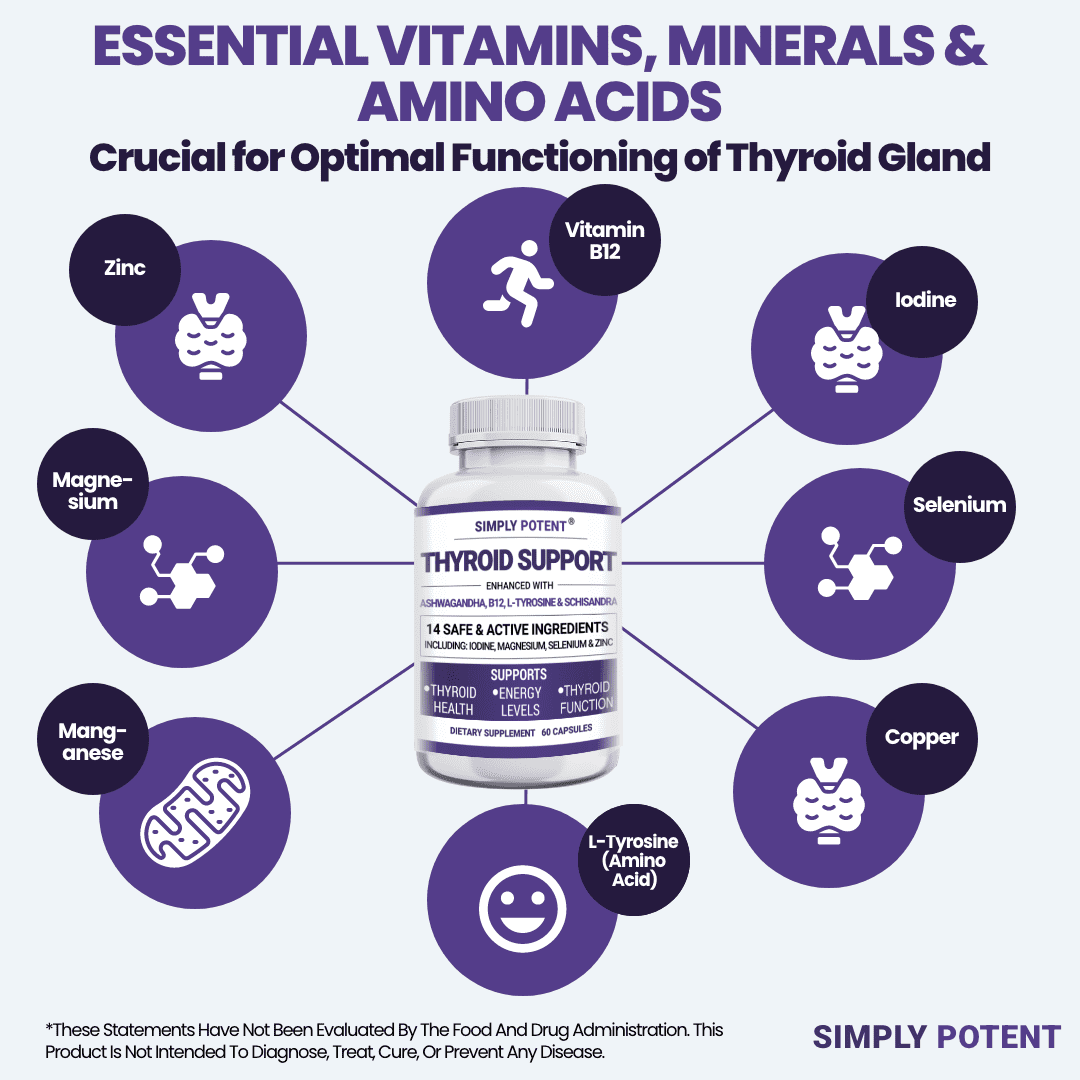 Simply Potents Thyroid Support Supplement for Men & Women, 120 Capsules (Pack of 2) - Herbs, Vitamins, Minerals