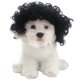 thumbnail image 4 of Divertida peluca de cosplay para perros y gatos, disfraces para mascotas, disfraz de gato para Halloween, Navidad, fiestas, festivales, pelucas para perros pequeños, medianos y grandes Rojo Verde, 4 of 4