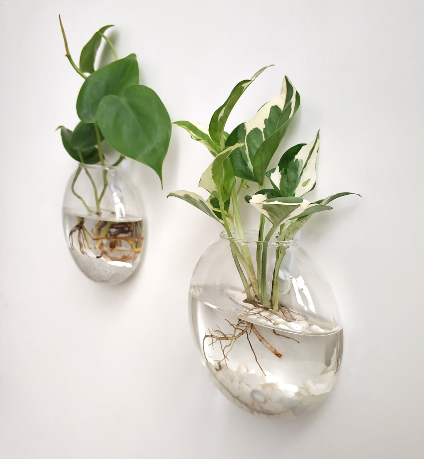 Mkono Wall Hanging Planter Propagation Station Glass Flower Vase for Hydroponics Plants,Oblate Set of 4