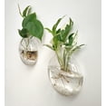 thumbnail image 4 of Mkono Wall Hanging Planter Propagation Station Glass Flower Vase for Hydroponics Plants,Oblate Set of 4, 4 of 7