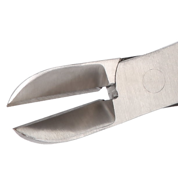 Cortadora De Dientes De Cerdo, Fórceps De Dientes De Cerdo De Operación Simple Para Dentista Para Herramientas De Cirugía