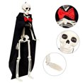 thumbnail image 1 of Mini esqueleto de cuerpo completo Wdftyju 15,75 pulgadas Halloween estilo A novio, 1 of 8