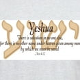 thumbnail image 3 of CafePress - Yeshua Acts 4:12 Ash Grey T Shirt - Men's Classic Graphic T-Shirt, 3 of 4