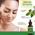 thumbnail image 3 of Polvo fijador suelto hialurónico de bambú Fitglow Beauty | Translúcido Vegano Orgánico | Acabado fotográfico ingrávido | Difuminado de poros | Polvo de acabado de maquillaje con control de brillo natu, 3 of 5