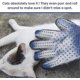 thumbnail image 5 of [upgraded 2-in-1 Blue Pet Grooming Glove, Xqday Dog And Cat Hair Remover Mitt With, 5 of 5