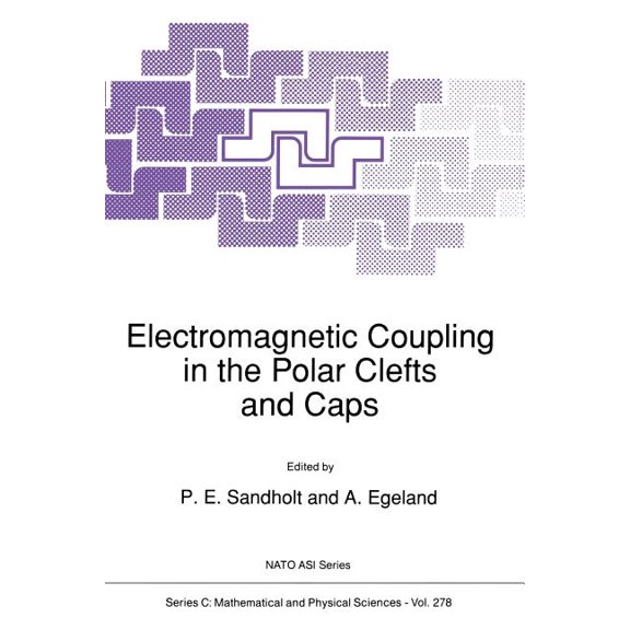NATO Science Series C: Electromagnetic Coupling in the Polar Clefts and Caps, Book 278, (Paperback)