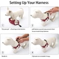 thumbnail image 3 of Dog Harness, Dog Harness Small Breed, Pet Harness with A Easy Control Leash, Easy Walk Pet Harness and No Choke Vest Harness for Medium or Small Breeds, 3 of 6