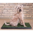 thumbnail image 6 of Downtown Pet Supply Grass Pad for Dogs, Dog Pee Pads System, 16 x 20", 6 of 8