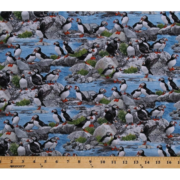 Cotton Puffins Birds Seabirds Animals Rocks Scenic North American Wildlife Blue Cotton Fabric Print by the Yard (567BLUE)