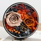 thumbnail image 5 of Rosas preservadas hechas a mano en caja de terciopelo | Flores naturales de larga duración para la decoración del hogar | Regalo de aniversario, cumpleaños y Día de la Madre para mujeres, 5 of 5
