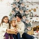 thumbnail image 4 of Adornos de bola de Navidad de terciopelo Paquete de 12 | Grandes decoraciones de árbol de vacaciones flocadas a prueba de roturas de 2.36" | Acabado mate Rojo Burdeos Tan Blanco Tierra | Elegante, 4 of 7