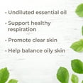 thumbnail image 2 of Plant Therapy Cedarwood Virginian Essential Oil 100 mL (3.3 oz) 100% Pure, 2 of 4