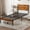 Brown/Twin, variant on Alvantor Metal Platform Bed Frame with Headboard & Footboard - No Box Spring Needed, 800LBS Sturdy Wooden Slats Support, Industrial Style