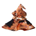 thumbnail image 2 of Shadoumai Halloween Cat Cloak Witch Hat Pet Accessories Halloween Adjustable Pumpkin Pet Clothes Set, Halloween pet Decor Cloak for Cats Dogs Puppy, 2 of 8