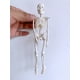 thumbnail image 4 of Mini esqueleto de juguete JAMW Modelo de esqueleto pequeño con calavera desmontable Sencillez, 4 of 5