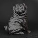 thumbnail image 3 of Realistic Reusable Plastic Artificial Pug Dog Model Statue Cute For Home Office Decor Collectible, 3 of 5