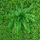 thumbnail image 2 of Plantas artificiales decoración de la pared para colgar al aire libre de plástico de imitación de hoja verde de fondo decoración de la boda, M 2 Piezas Yuarrent HA005109-02, 2 of 6