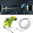 thumbnail image 1 of 6m Bird Harness Anti-bite Leash Parrot Flying Training Rope Traveling Walking Rope Pet Bird Leash Kits, 1 of 5