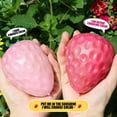 thumbnail image 5 of Color Changing Strawberry Squishy Toys Squeeze Strawberry Stress Ball Sensory Squishy Fidgets Novelty Toy Kids Adults Stress Relief Relax Focus Autism ADHD Durable Easter Party Favors, 5 of 5