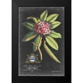 thumbnail image 2 of Ehret, George 13x18 Black Modern Framed Museum Art Print Titled - Dramatic Royal Botanical V, 2 of 5
