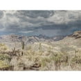 thumbnail image 3 of Prime, Marcus 14x12 Black Modern Framed Museum Art Print Titled - Desert Oasis, 3 of 5