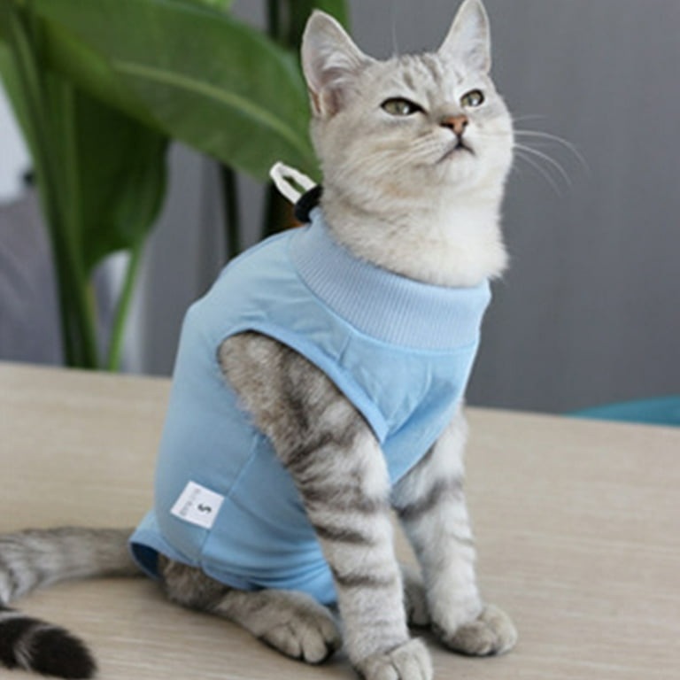 Onesie for cat surgery hot sale