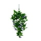 thumbnail image 2 of 5-pronged Imitation Morning Wall Hanging Trumpet Flower Imitation Flower Rattan Decorative Flower Chlorophytum Comosum, 2 of 6
