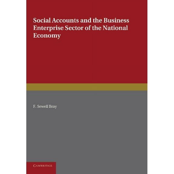 Social Accounts and the Business Enterprise Sector of the National Economy, (Paperback)