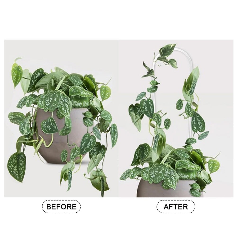 Ana Elegant Design Plant Support Trellis Set of 2 with Installation StrapsHome Decor