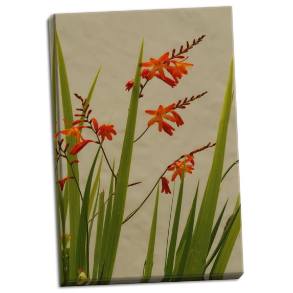 Gango Home Decor Zen Floral 2 by Vitaly Geyman (Ready to Hang); One 24x36in Hand-Stretched Canvas