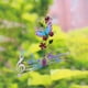 thumbnail image 1 of Campanas de viento para exteriores en liquidación, campanas de viento de tubo de aluminio con forma de mariposa y gancho en forma de S, decoración de jardín, regalo de inauguración de la casa., 1 of 6